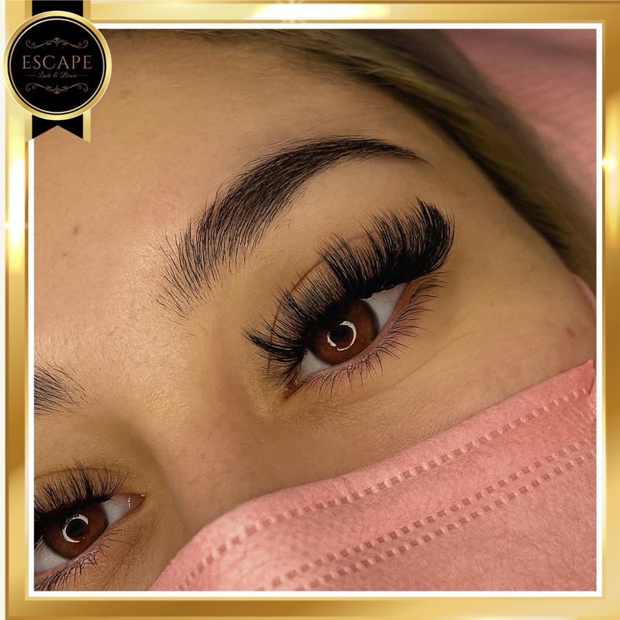 Escape Eyelash & Brow Spa